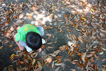 c0116312_9504979.jpg
