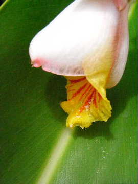 e0046112_2130758.jpg