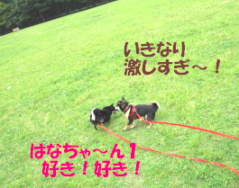 c0185516_1936077.jpg