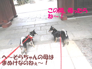 c0185516_19554137.jpg