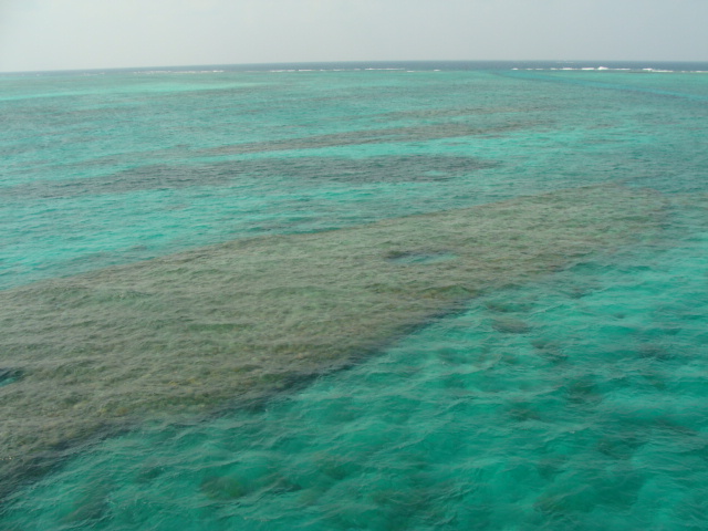 e0177521_1110358.jpg