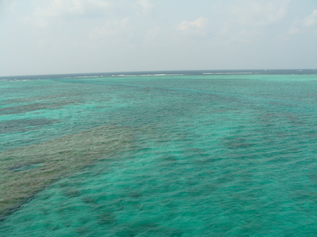 e0177521_11111719.jpg