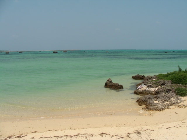 e0177521_11141870.jpg