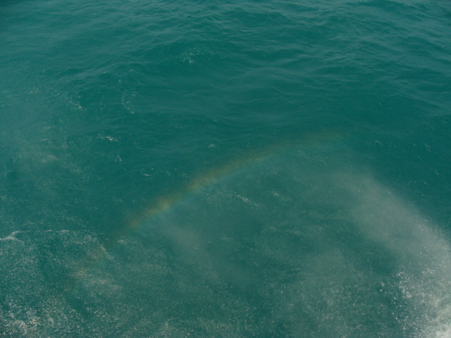 e0177521_1115879.jpg