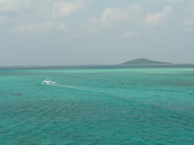 e0177521_1192890.jpg