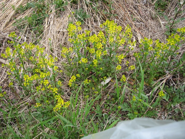 c0115922_2040894.jpg
