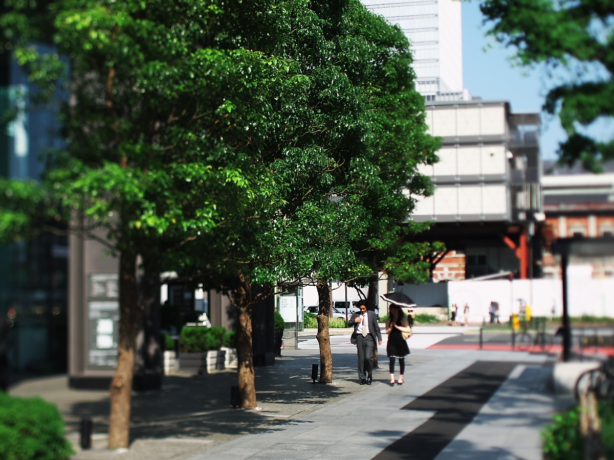 b0137723_22582398.jpg