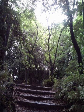 e0162524_1243841.jpg