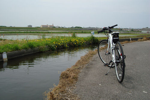 f0007926_18292646.jpg