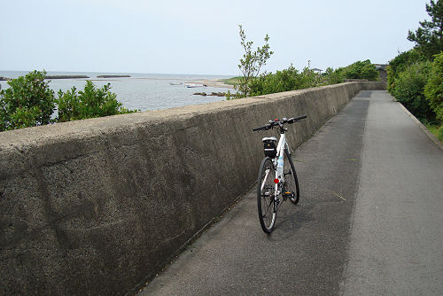 f0007926_1831112.jpg