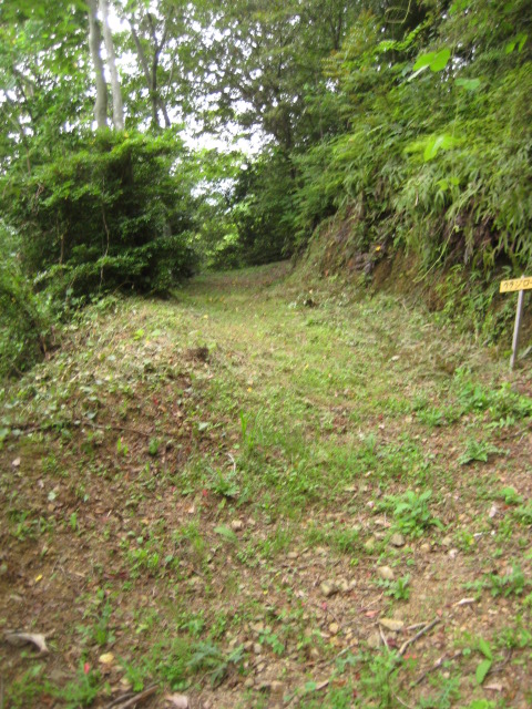 d0147727_20371985.jpg