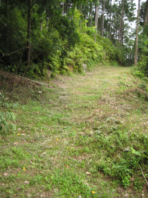 d0147727_20374991.jpg