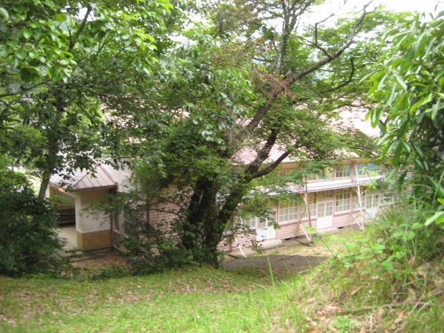 d0147727_20392211.jpg