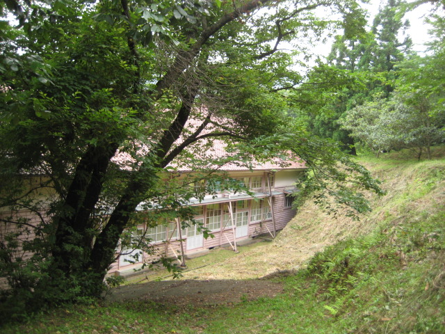 d0147727_20394264.jpg