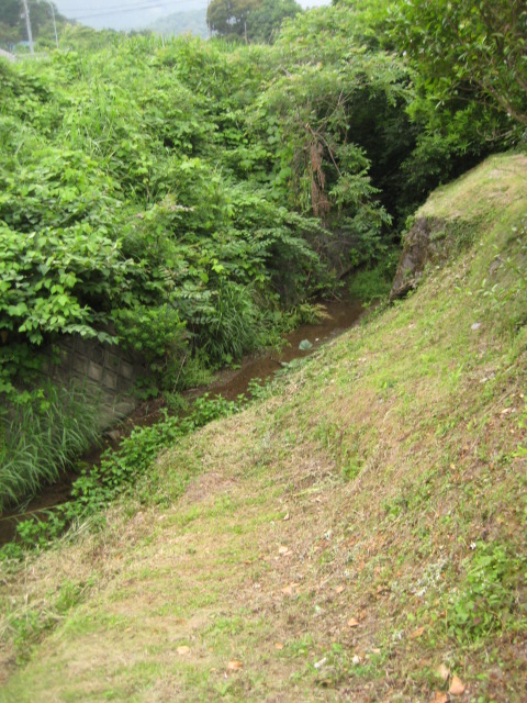 d0147727_2042441.jpg