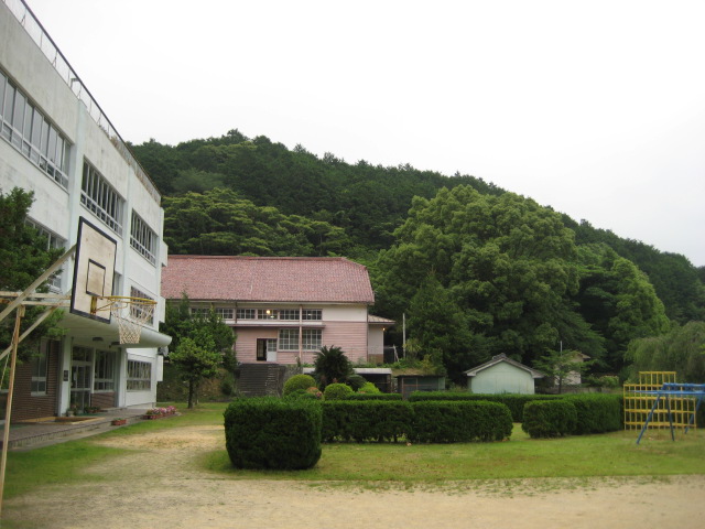 d0147727_2043976.jpg