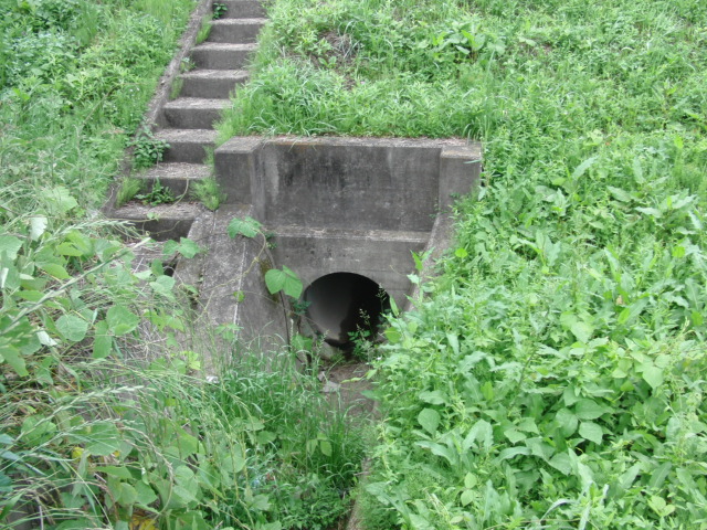 f0111128_0191527.jpg