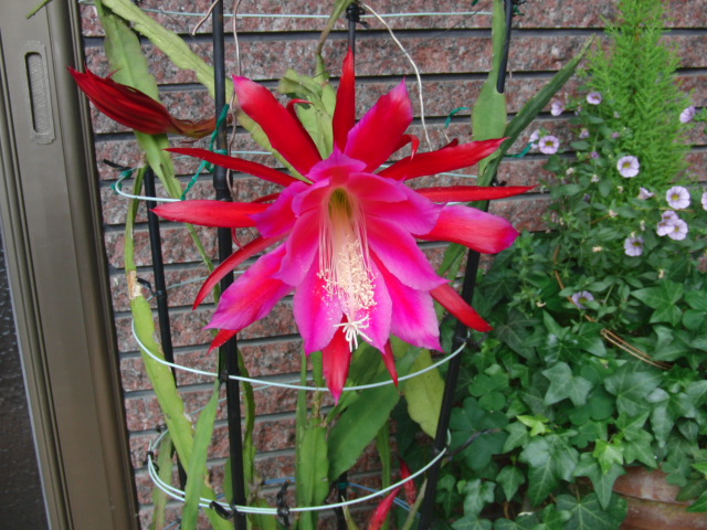 f0111128_0193340.jpg
