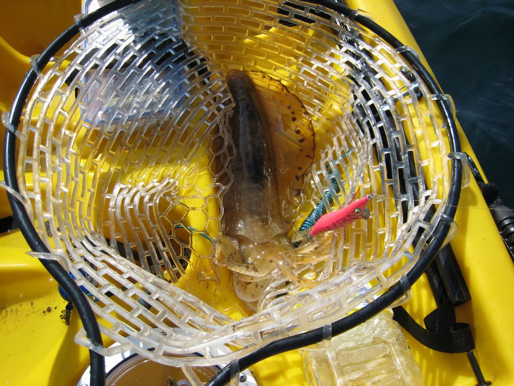 b0173629_12314456.jpg