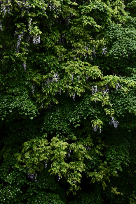 c0189533_7563118.jpg