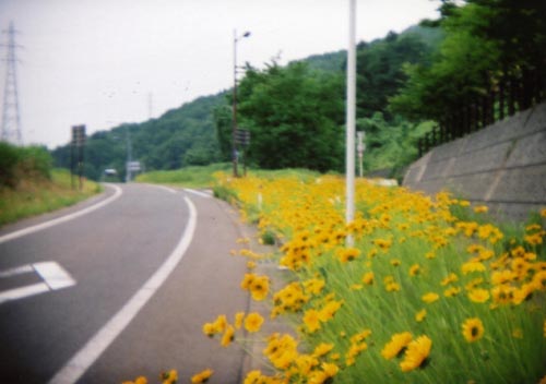 c0000134_12495841.jpg