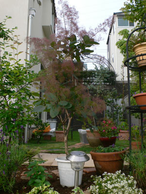 f0061334_20545442.jpg