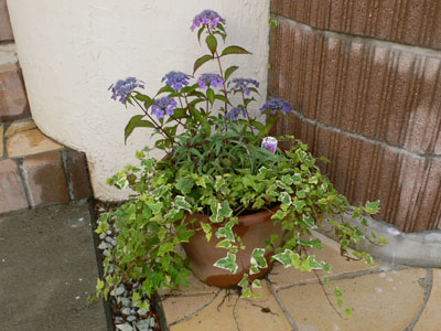 f0061334_20593516.jpg