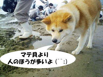 f0008935_14393918.gif