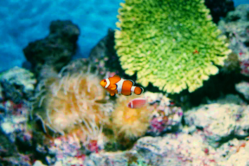 c0165137_2232711.jpg