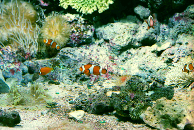 c0165137_22404032.jpg