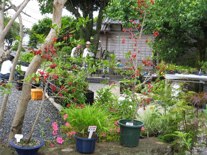 f0042737_167172.jpg