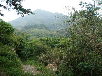 a0054240_18273027.jpg