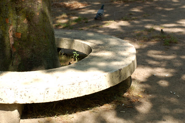 e0136745_1625991.jpg