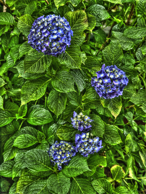 b0135347_23435526.jpg