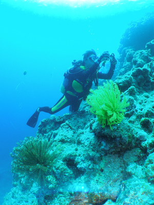 d0065247_1604490.jpg