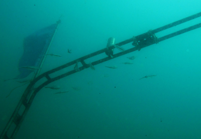 e0027447_23282482.jpg