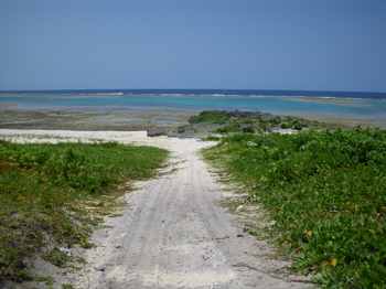 b0042548_724131.jpg