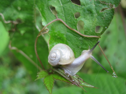 c0145449_23142519.jpg