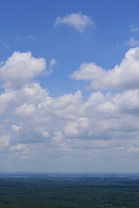 f0032653_1156167.jpg