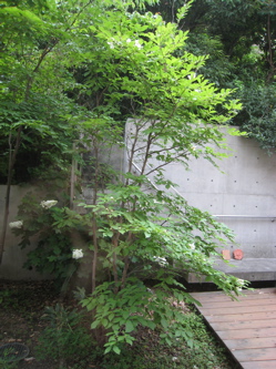 c0153259_1510566.jpg