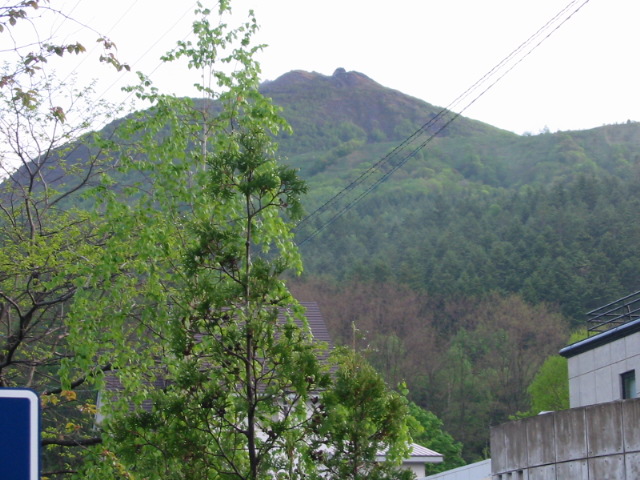 f0122259_1141521.jpg