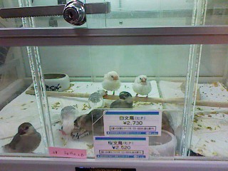 b0158061_22443746.jpg