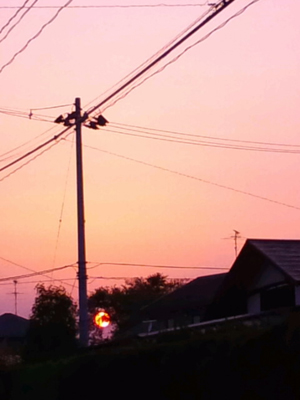 c0050264_17375563.jpg