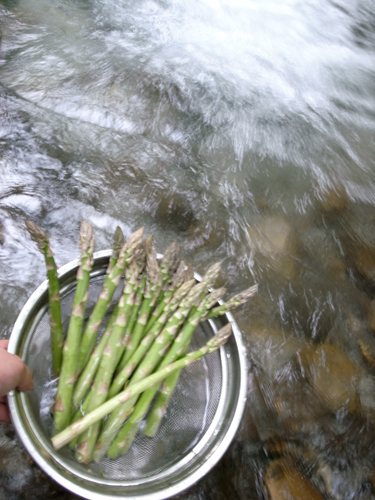 c0048265_1121356.jpg