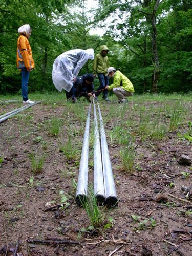 c0048265_124617.jpg
