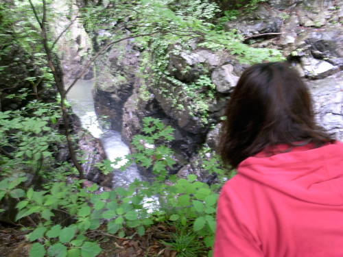 c0048265_17123444.jpg
