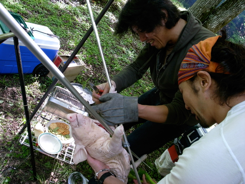 c0048265_2122077.jpg