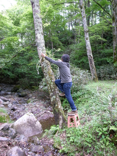 c0048265_21464524.jpg