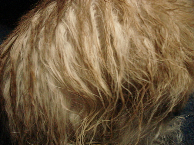 f0132565_7321341.jpg