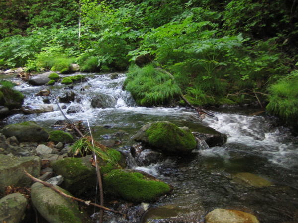 b0120066_20401168.jpg